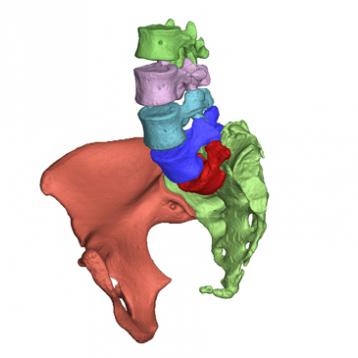 AnatomikModeling dans Le Quotidien du Médecin